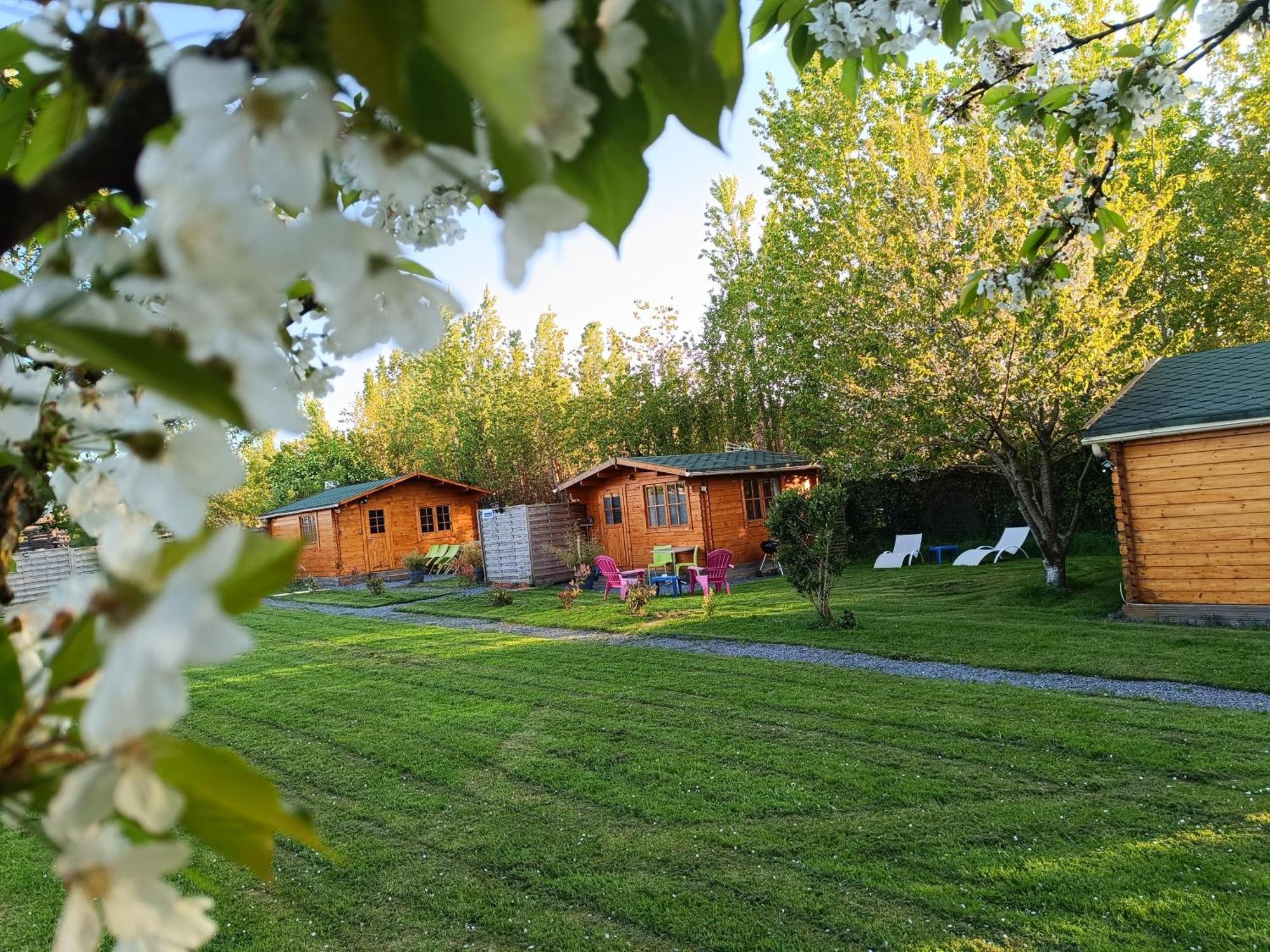 Gite Les Chalets Du Fliers Verton Meubles De Tourisme Classes 2 Etoiles Berck Zimmer foto